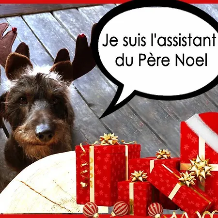 La Bournerie 3*