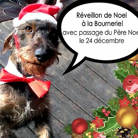 La Bournerie Bed & Breakfast