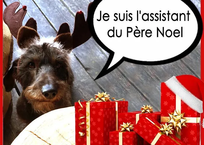 La Bournerie 3*